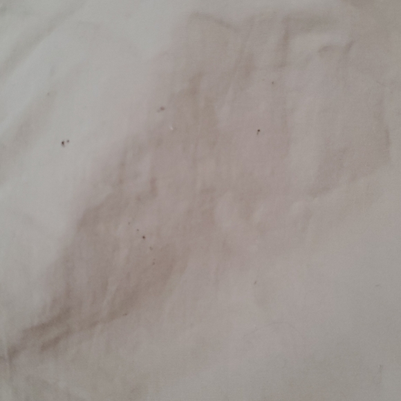 Polo Ralph Lauren Beige Swim Trunks Board Shorts - Picture 4 of 4